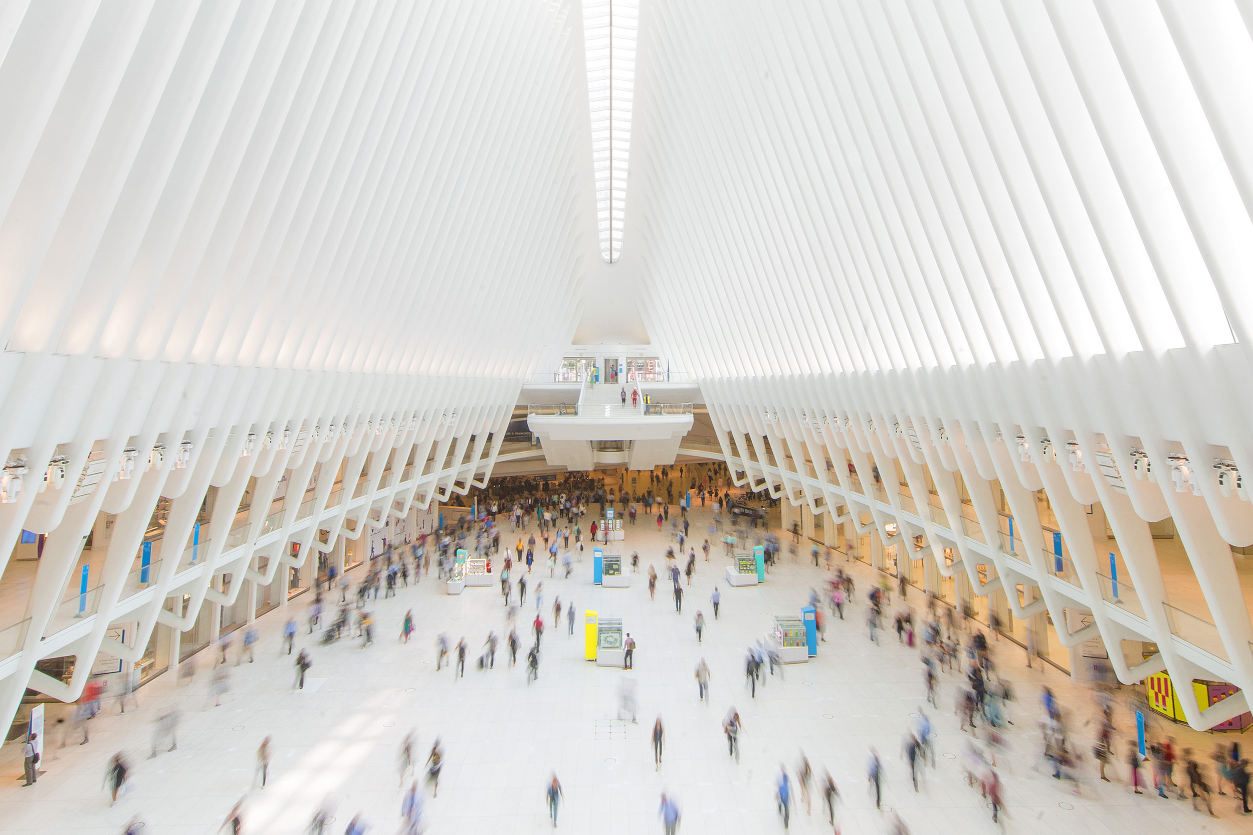 Image of The Oculus